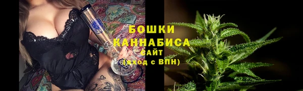 мдпв Нея